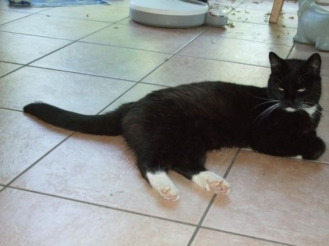 Bild