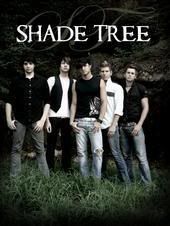 shade tree