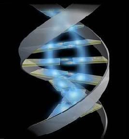 genetica Pictures, Images and Photos