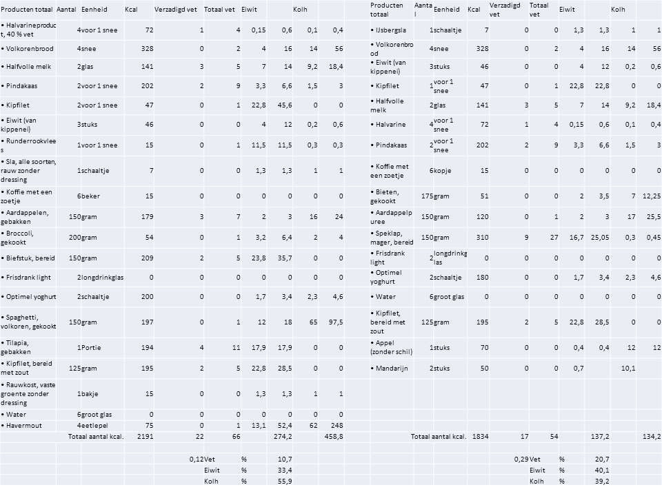 13 dagen dieet schema