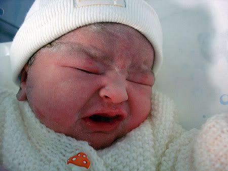 Primeiras imagens