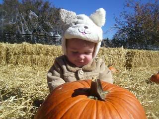 http://i218.photobucket.com/albums/cc142/corterfamily07/100_1792.jpg