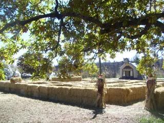 http://i218.photobucket.com/albums/cc142/corterfamily07/100_1829.jpg