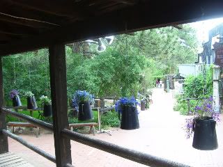 http://i218.photobucket.com/albums/cc142/corterfamily07/Flying%20W%20Ranch/100_0973-1.jpg