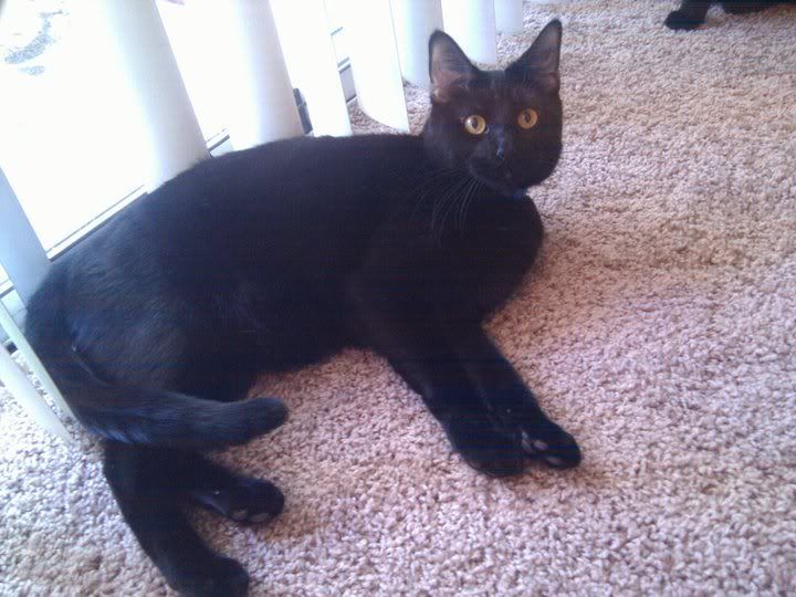 zululounging