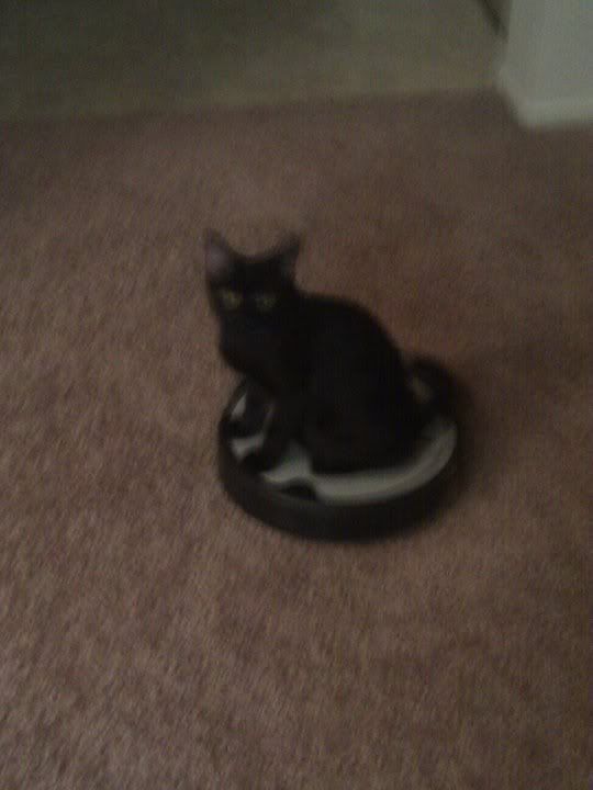 zuluroomba-1