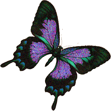 vlinder.gif Butterfly image by senyagwynn