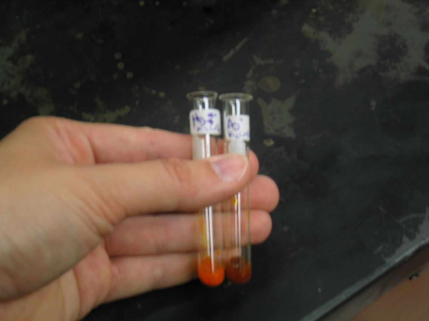 Hg2(NO3)2+K2CrO4_AgNO3+K2CrO4 Photo by smn_7_photo | Photobucket