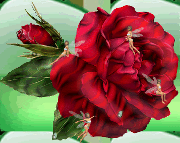 fairyrose.gif fairyrose image by suckieb