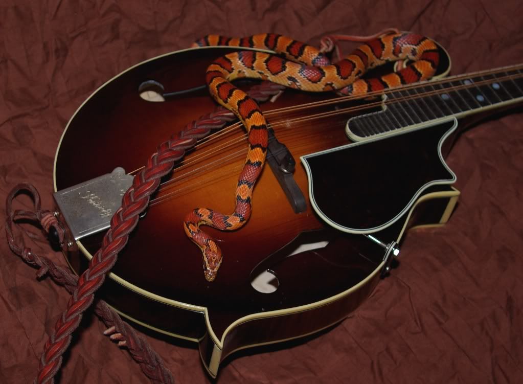 kaa14jul12.jpg