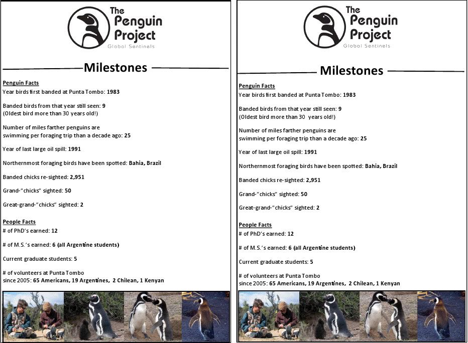 penguin project milestones