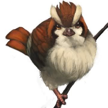pokemon pokemon