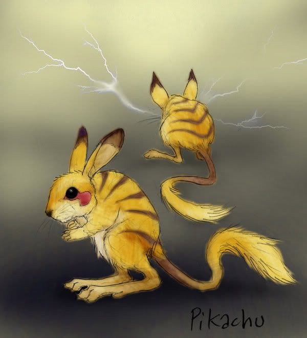 pokemon pokemon