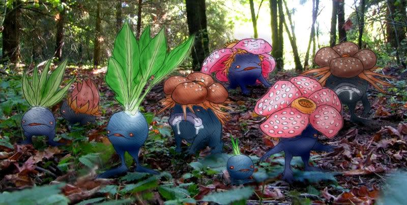 pokemon pokemon