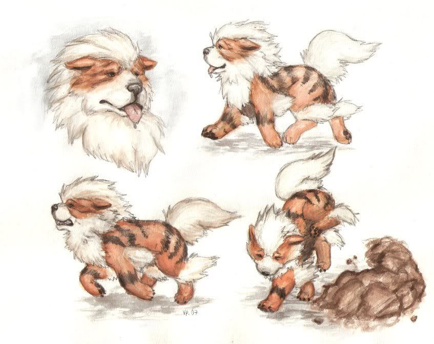 pokemons realistas pokemons realistas