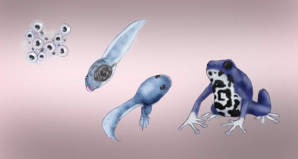 fanart fanart