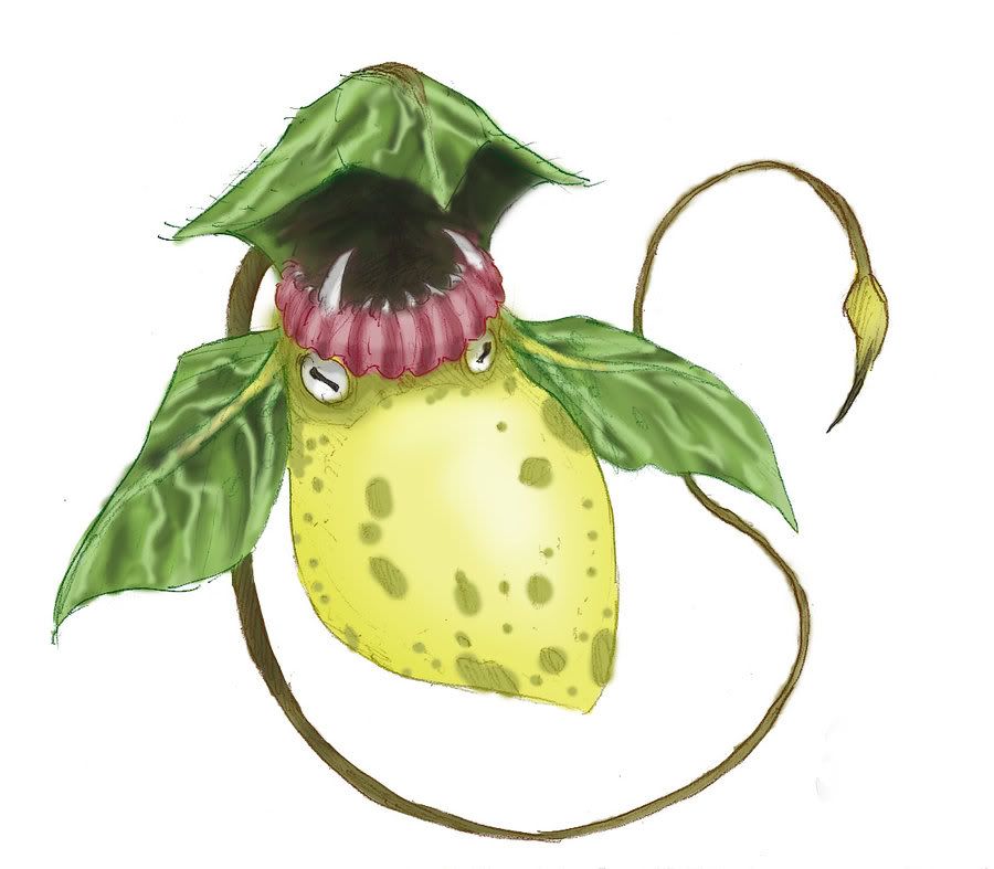 pokemon fanart pokemon fanart