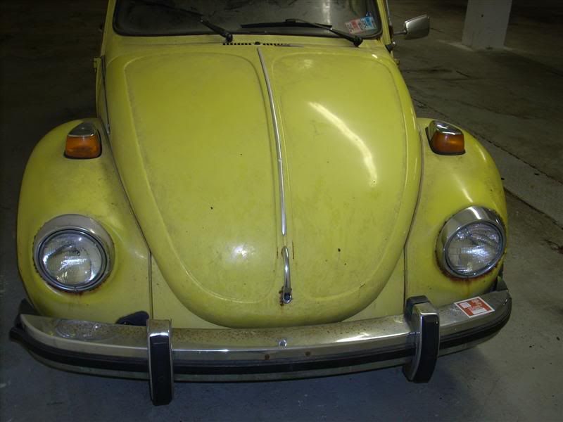 http://i218.photobucket.com/albums/cc202/poisonousbeef/72%20Super%20Beetle/72bugfront.jpg