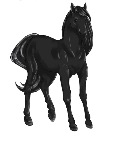 anime black horse