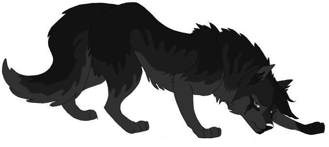 http://i218.photobucket.com/albums/cc209/Yoshiko_313/Anime%20Pics/Animals/Wolves/shadowwolf-2.jpg