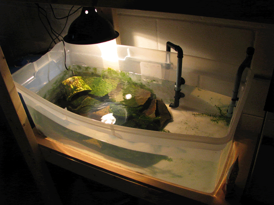 Lets see ALL enclosures