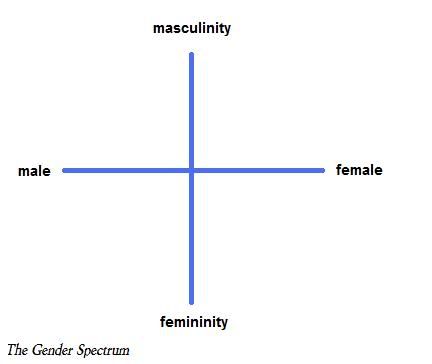 gender spectrum