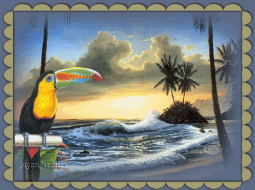 Toucan_by_the_beach1.gif