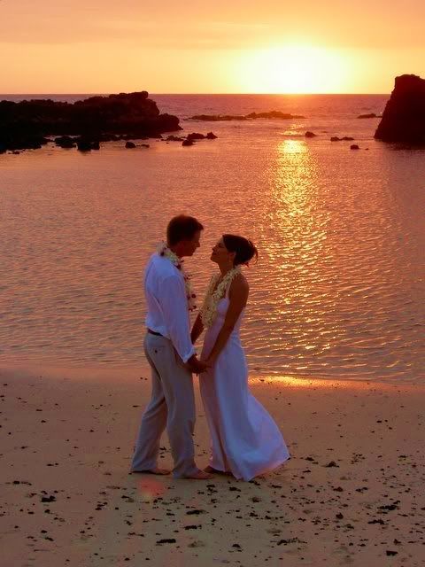 dream beach wedding at sunset Pictures, Images and Photos