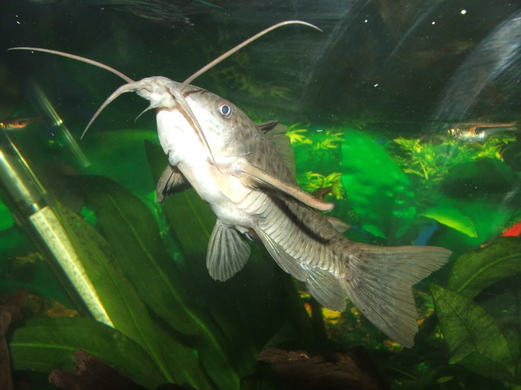 DSCF1251.jpg