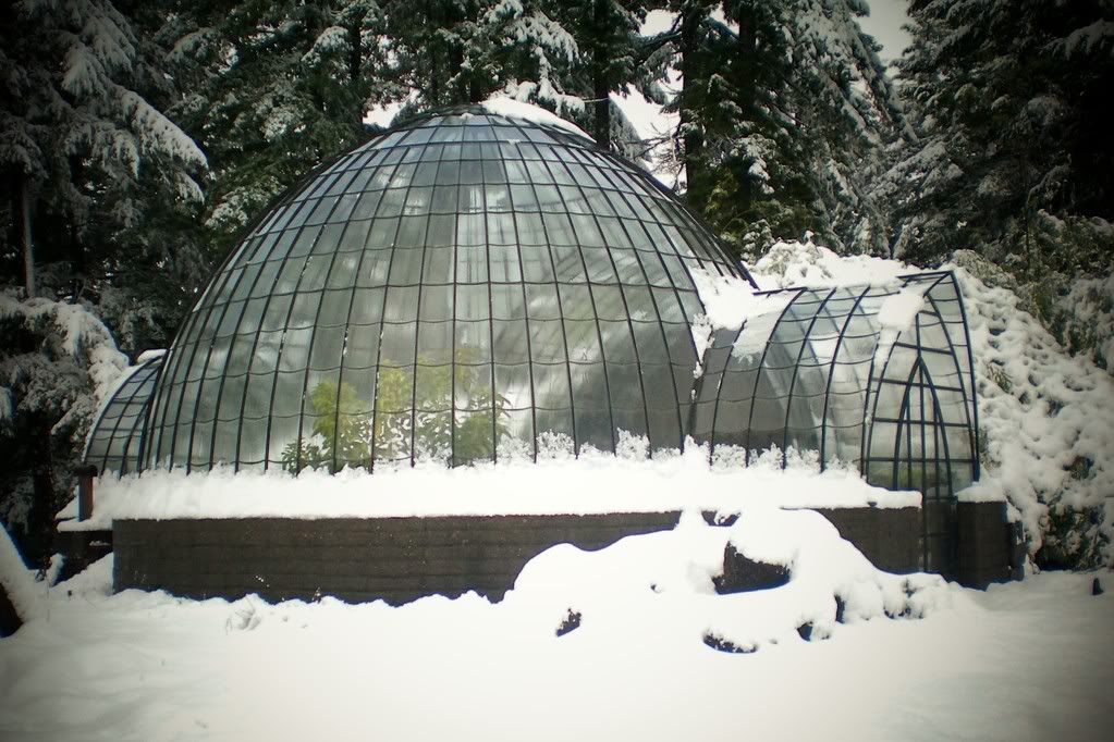 The Homestead in Humboldt An Unknown Art Redheaded Blackbelt