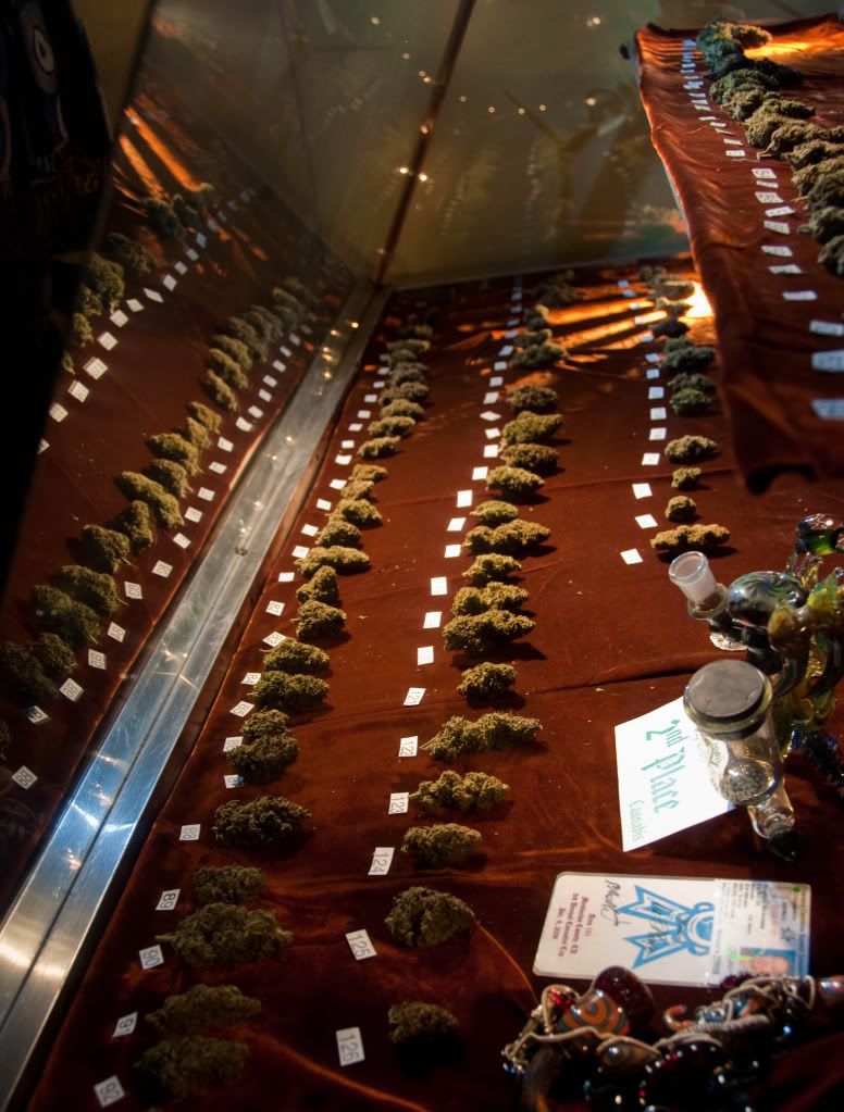 Emerald cup entries