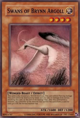 SwansofBrynnArgoll.jpg