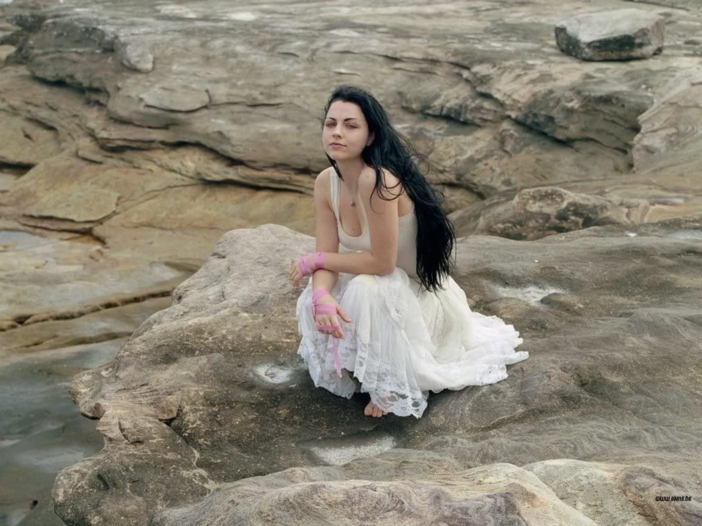 amy-lee-1024x768-21568.jpg