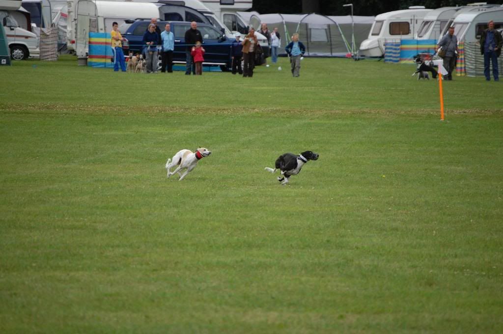 COURSING1-1.jpg