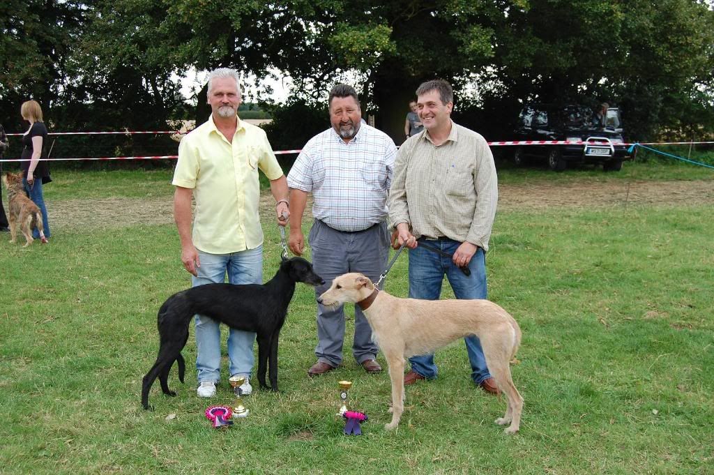 WorkingLurcherWinnerReserve.jpg