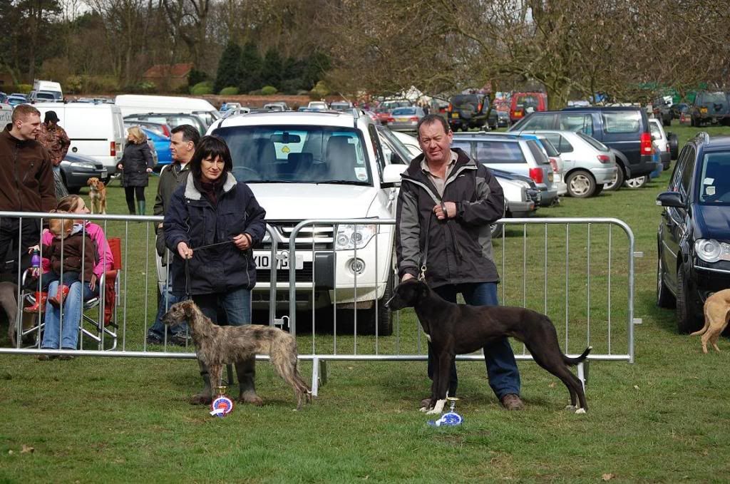 SATSelbyPuppyshowwinnerReserve.jpg