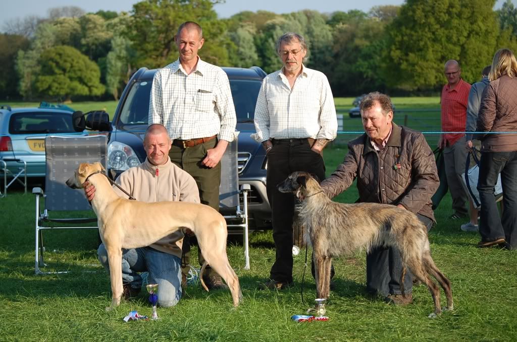 SUNLurchershowchampReserve.jpg