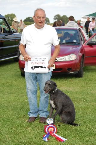 lurcherscurrywinner.jpg