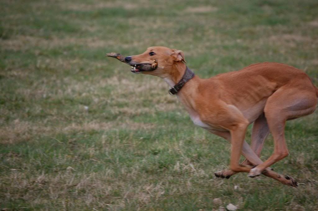 jess-1.jpg