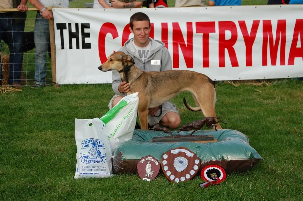 LurcherChampionofChampions.jpg