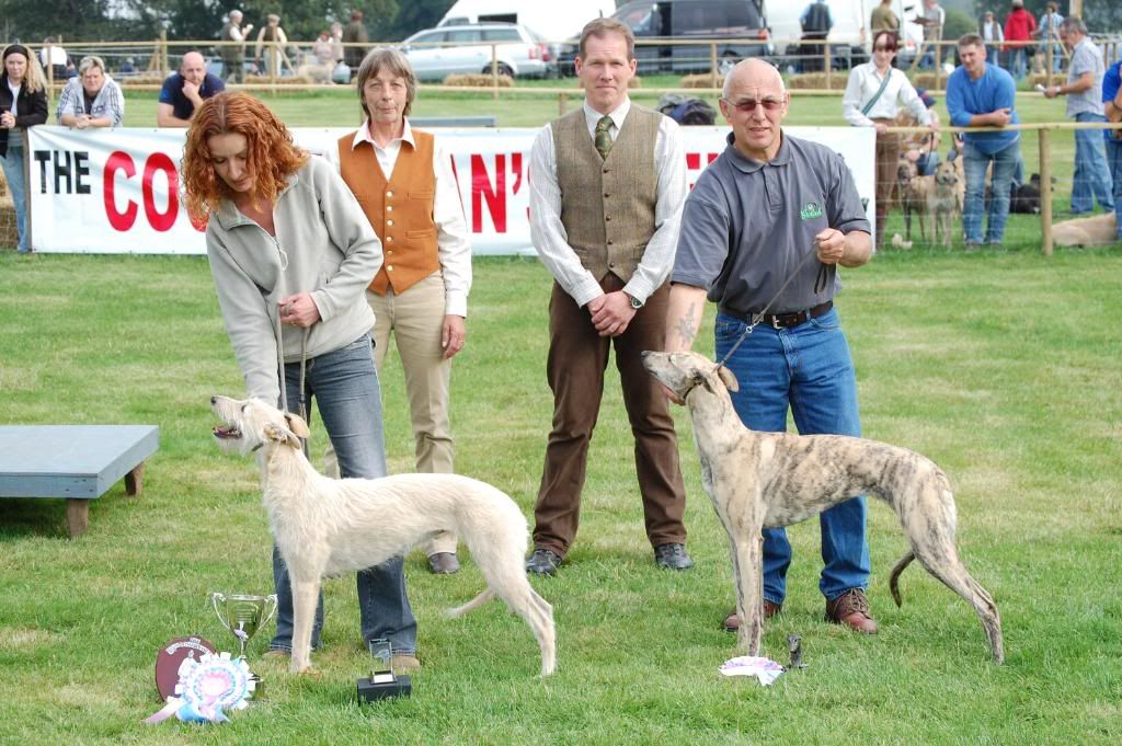 Lurcherpuppywinnerandreserve-Midlan.jpg