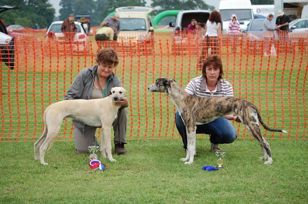 Rockingham-PuppySHowwinnerRes-Satur.jpg