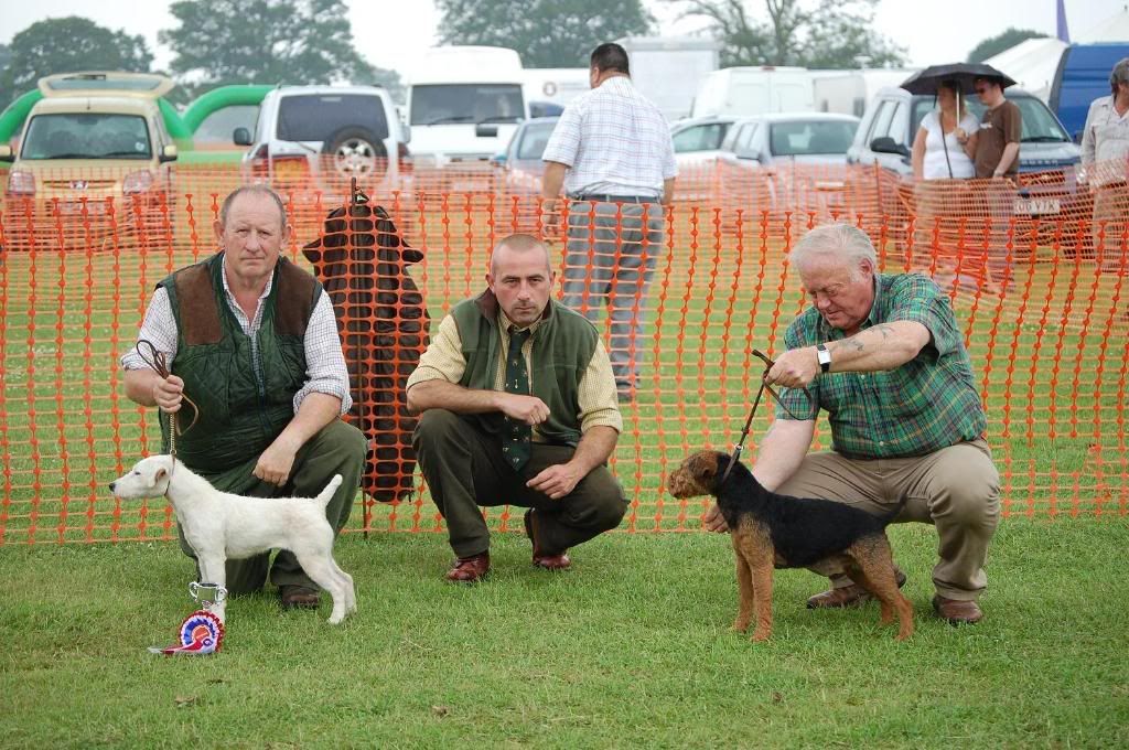 Rockingham-TerrierShowWinnerRes-Sat.jpg