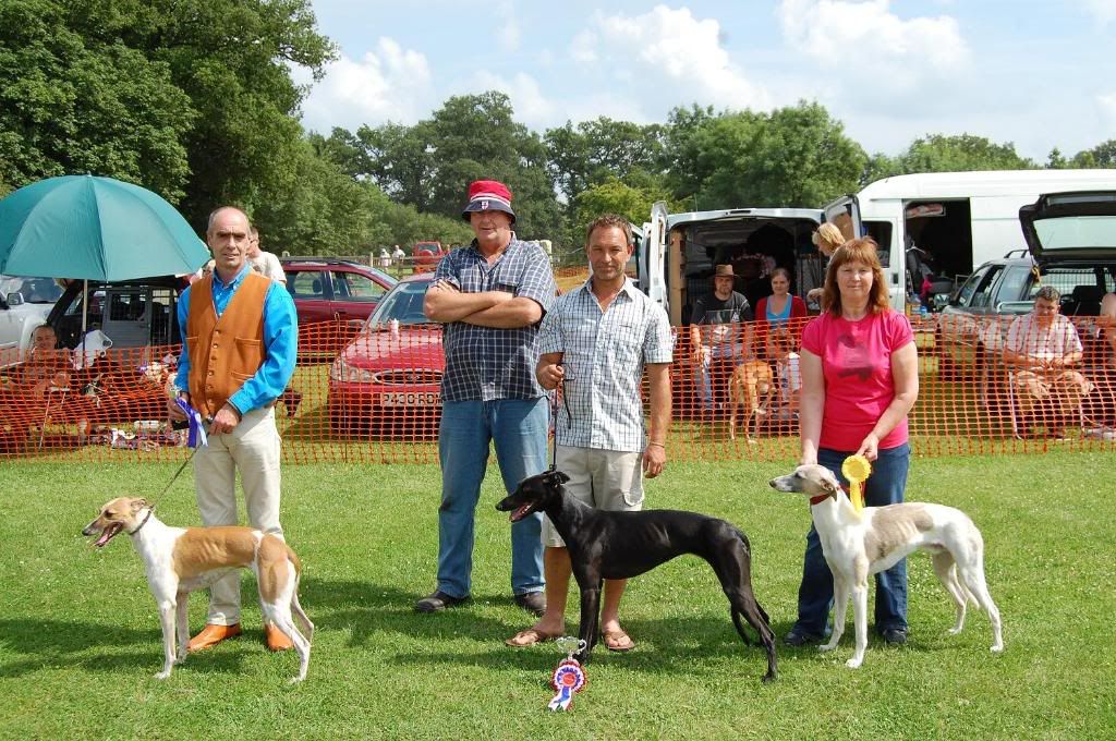 Rockingham-WorkingLurcherWinners-Su.jpg