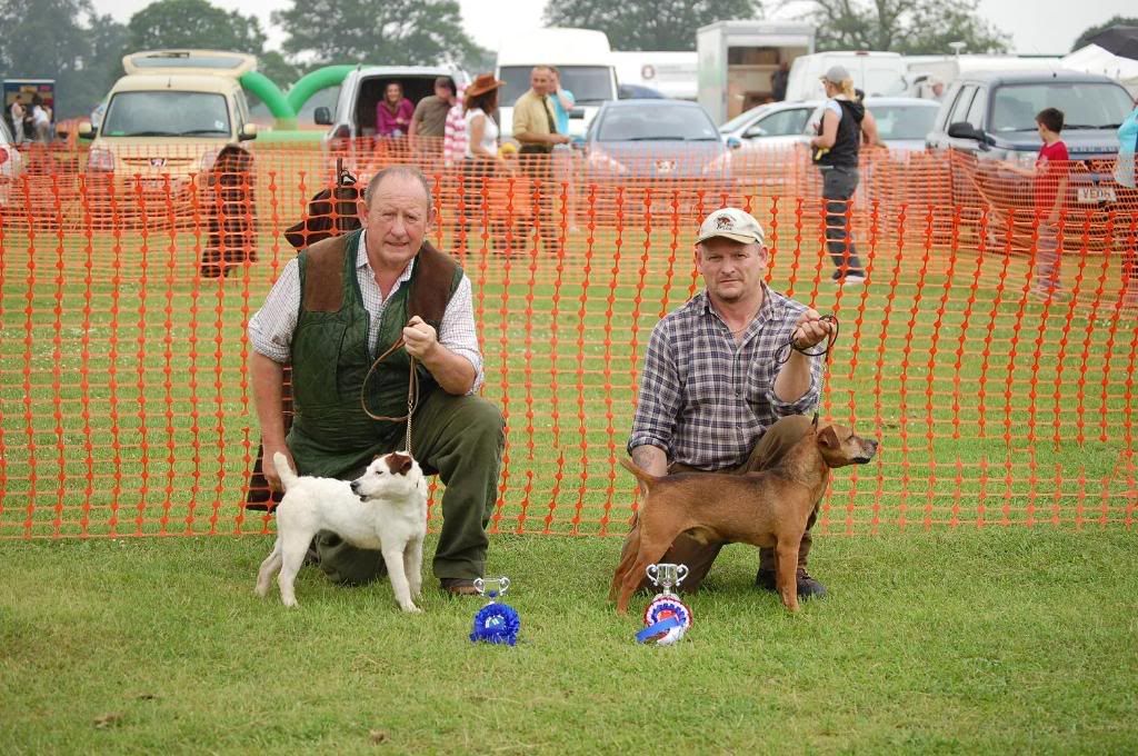 RockinghamWorkingTerrierwinnerandre.jpg