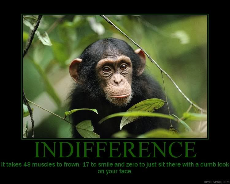 indifference Pictures, Images and Photos