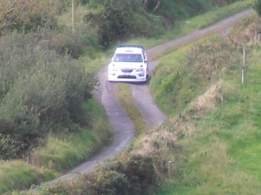 SDC11436.jpg