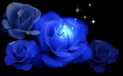 rosas azules Pictures, Images and Photos