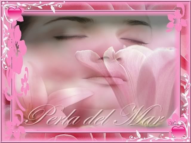 florosaperla.jpg picture by perlasyangeles