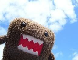 domo photo: domo domo.jpg